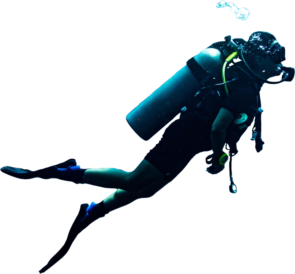 rJust Dive Diver